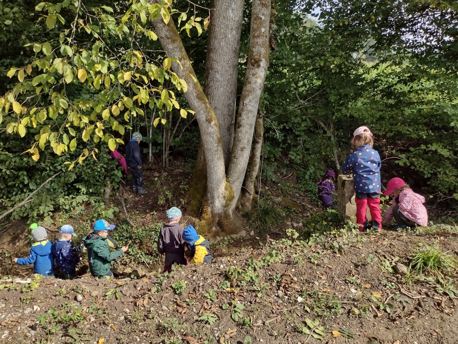  Kinder im Waldkindergarten 